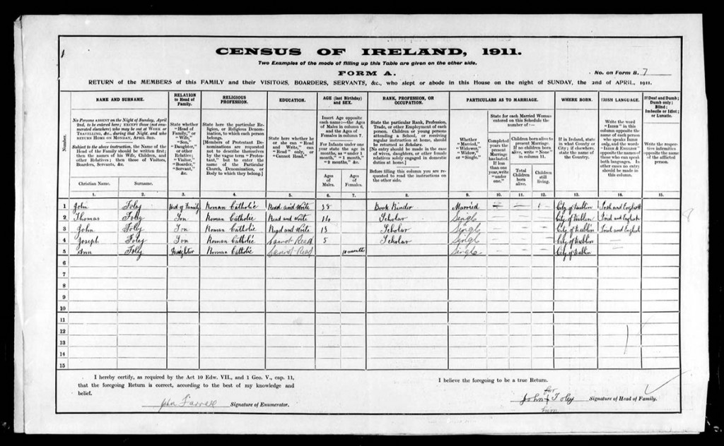 census Ireland
